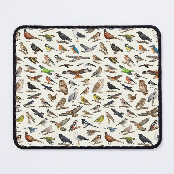 Item preview, British Garden Birds Ornithology Identification Chart designed and sold by kakarikihill.