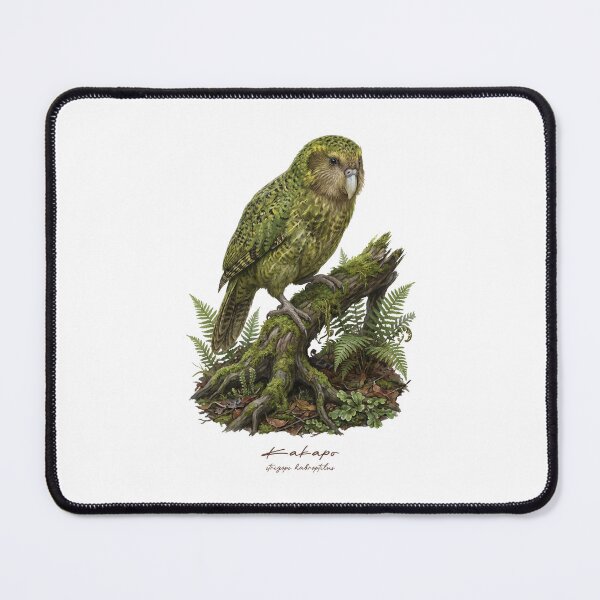 Item preview, Kakapo in Mossy Forest designed and sold by Takeda-art.