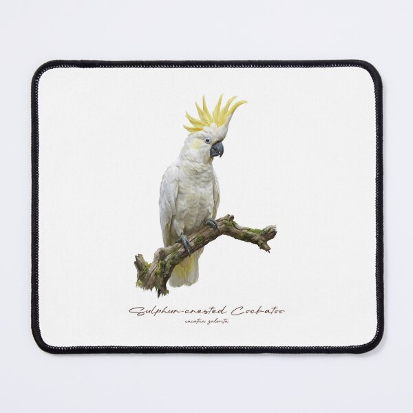 Item preview, Sulphur-crested Cockatoo Perching on Branch designed and sold by Takeda-art.