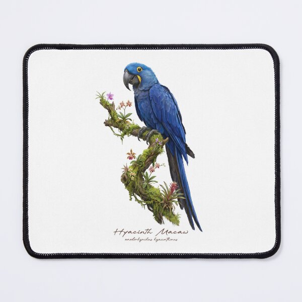 Item preview, Hyacinth Macaw on Tropical Tree with Flowers designed and sold by Takeda-art.