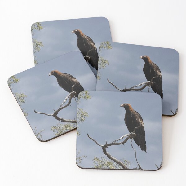 Item preview, Wedge Tailed Eagle designed and sold by photosbymia.