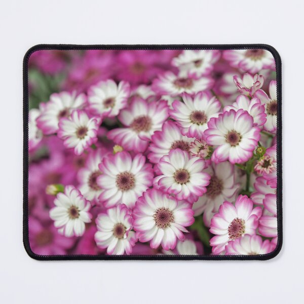 Item preview, Beautiful small dahlias designed and sold by AsahiNoAme.