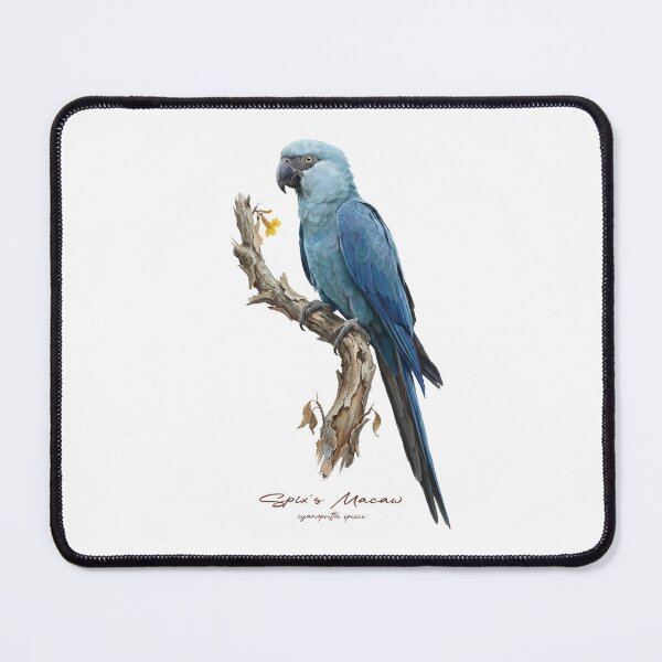 Item preview, Spix's Macaw on Rustic Branch designed and sold by Takeda-art.