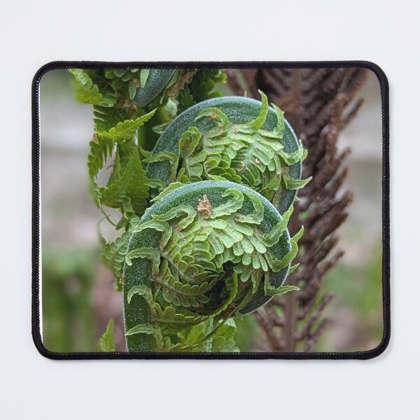 Item preview, Fiddlehead Fern Print: Spring Botanical Line Art designed and sold by Mandarynkashop.
