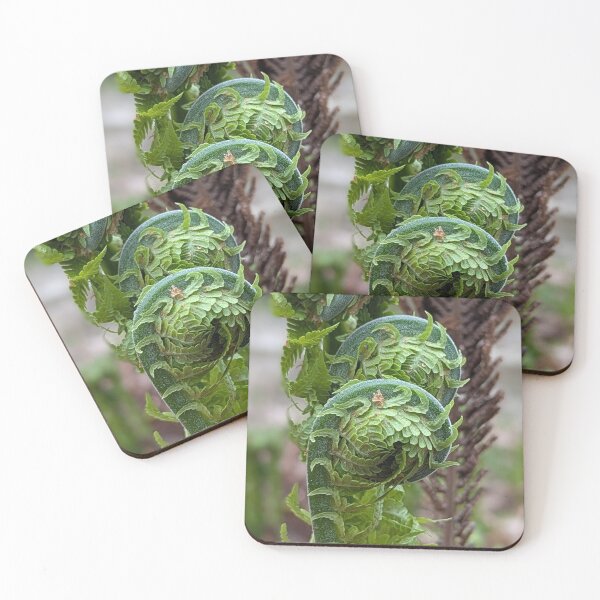 Item preview, Fiddlehead Fern Print: Spring Botanical Line Art designed and sold by Mandarynkashop.