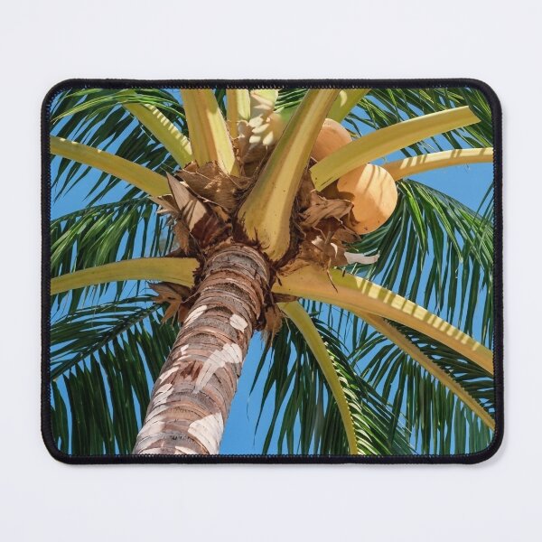 Item preview, Tropical Coconut Palm Tree Low Angle Painting designed and sold by Laura Vancleave.