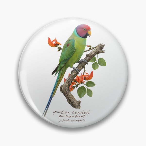 Item preview, Plum-headed Parakeet on Flowery Branch designed and sold by Takeda-art.
