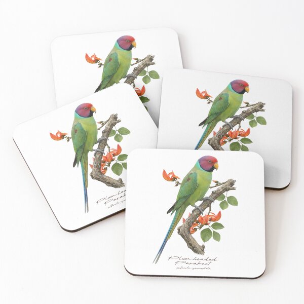 Item preview, Plum-headed Parakeet on Flowery Branch designed and sold by Takeda-art.