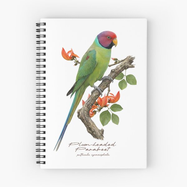 Item preview, Plum-headed Parakeet on Flowery Branch designed and sold by Takeda-art.