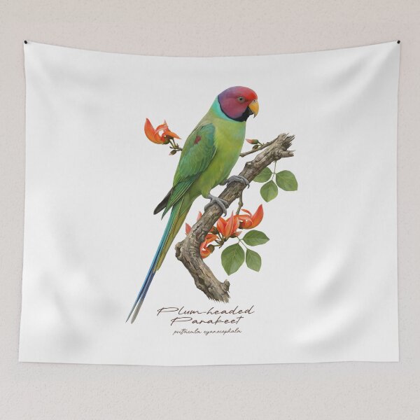 Item preview, Plum-headed Parakeet on Flowery Branch designed and sold by Takeda-art.