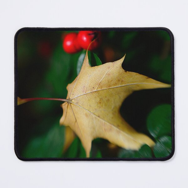 Item preview, Autumn Contrasts designed and sold by Kasia Design.