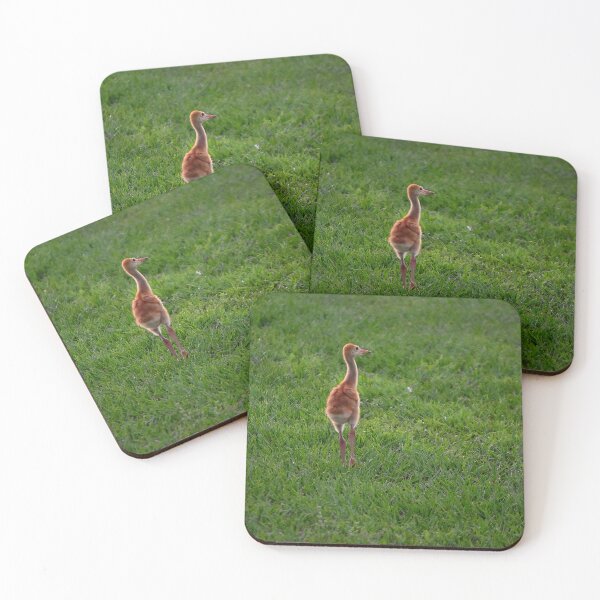 Item preview, Crane Chick in a Green Field designed and sold by MercerImages.