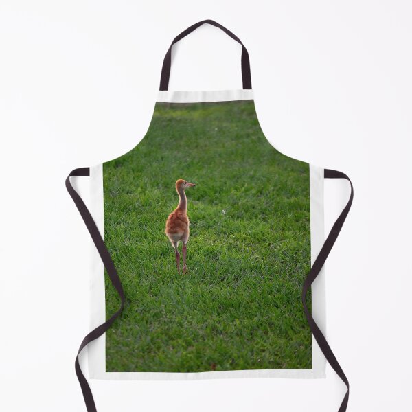 Item preview, Crane Chick in a Green Field designed and sold by MercerImages.