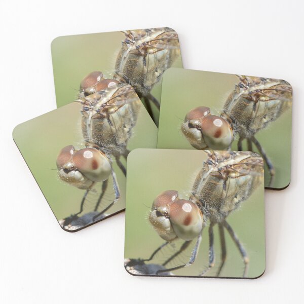 Item preview, Hairy Dragonfly designed and sold by photosbymia.
