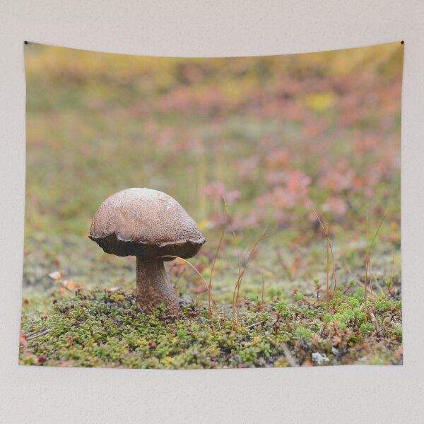 Item preview, Little Shroom designed and sold by photosbymia.