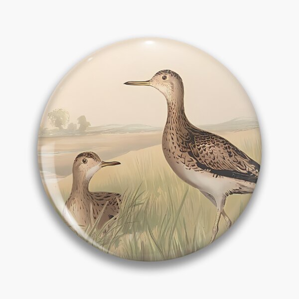 Item preview, Upland Plover Portrait | Bird Art designed and sold by GammaRay.