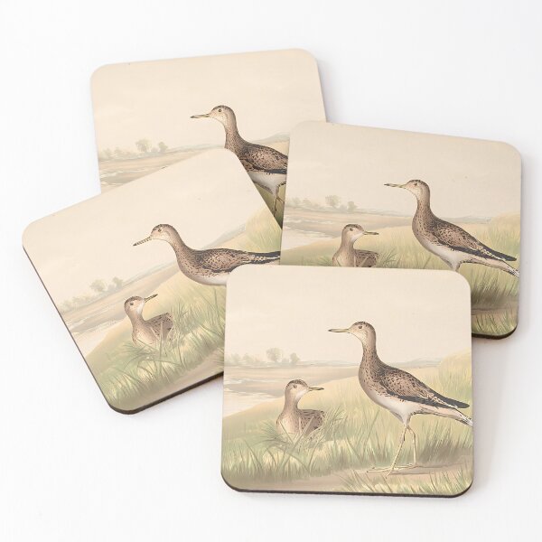 Item preview, Upland Plover Portrait | Bird Art designed and sold by GammaRay.