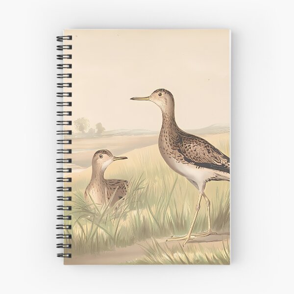 Item preview, Upland Plover Portrait | Bird Art designed and sold by GammaRay.