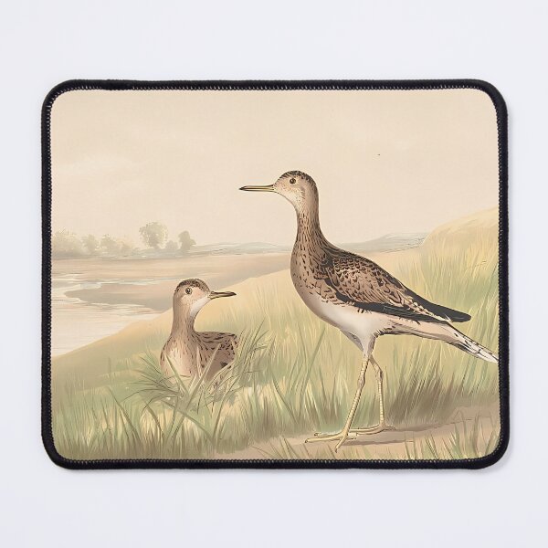Item preview, Upland Plover Portrait | Bird Art designed and sold by GammaRay.