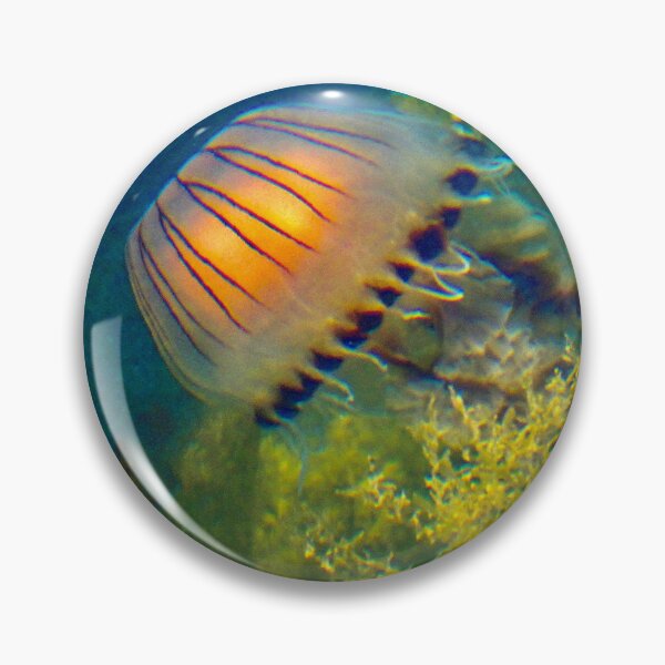 Item preview, Graceful Jelly Fish Swimming in the Sea designed and sold by penguinblue.