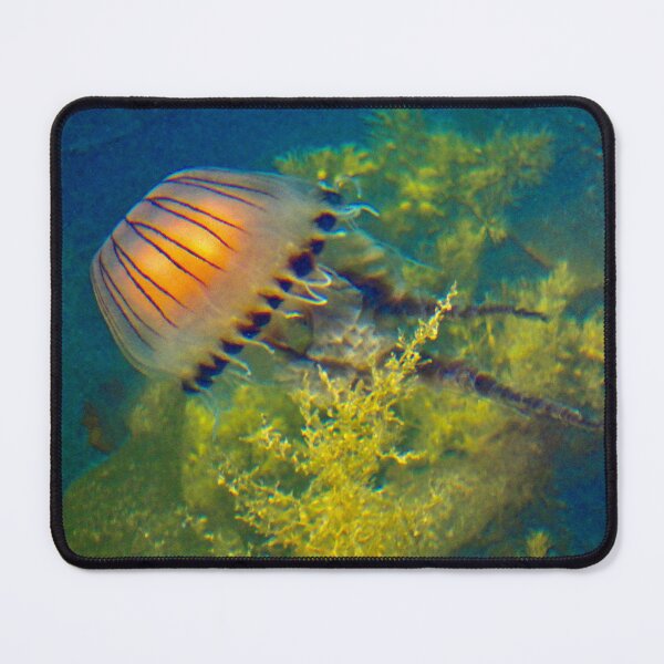 Item preview, Graceful Jelly Fish Swimming in the Sea designed and sold by penguinblue.