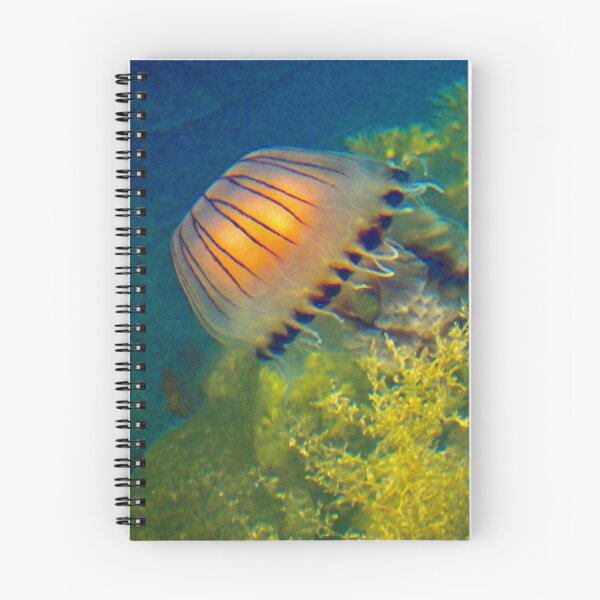 Item preview, Graceful Jelly Fish Swimming in the Sea designed and sold by penguinblue.