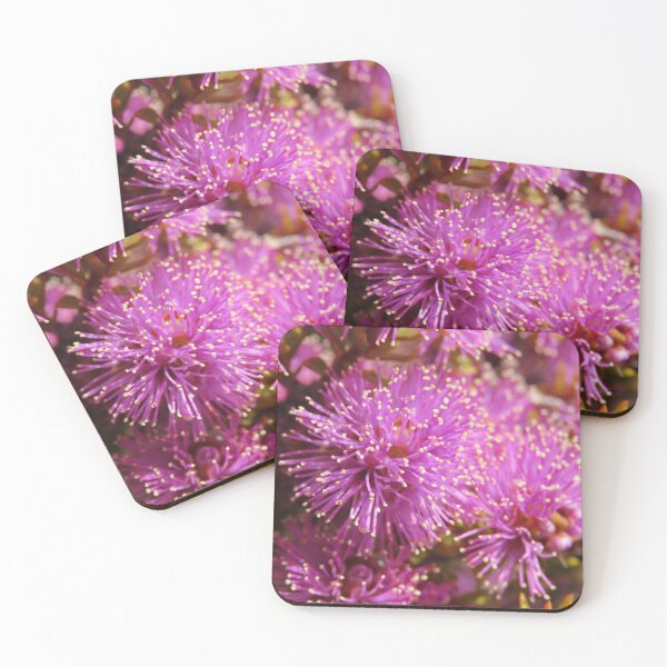 Item preview, Swamp Melaleuca coasters designed and sold by Friends of OBP.