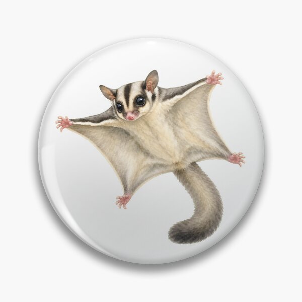 Item preview, Gliding Sugar Glider Wildlife Illustration designed and sold by Jaruart.