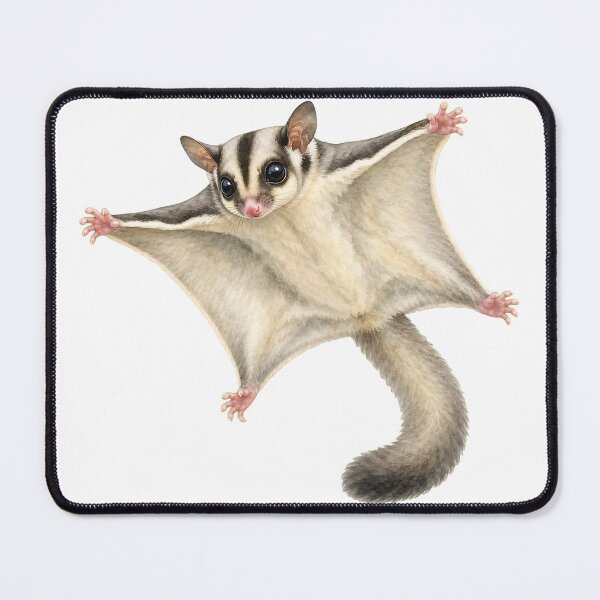 Item preview, Gliding Sugar Glider Wildlife Illustration designed and sold by Jaruart.