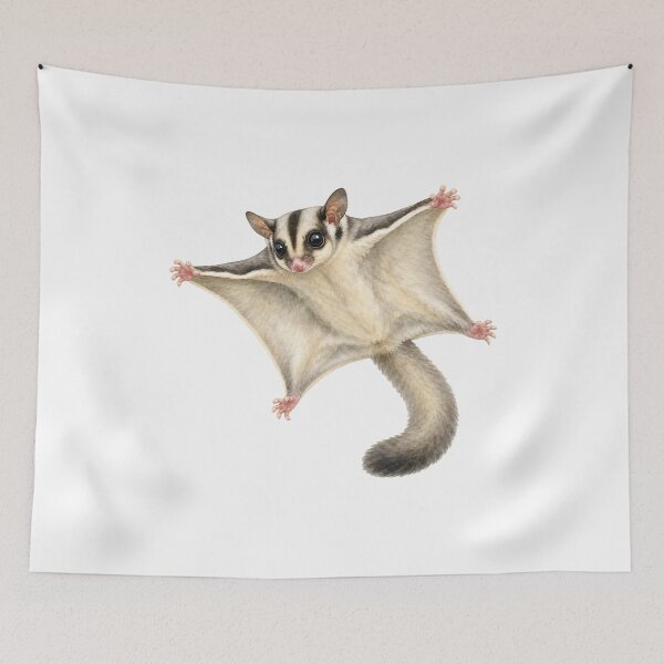 Item preview, Gliding Sugar Glider Wildlife Illustration designed and sold by Jaruart.
