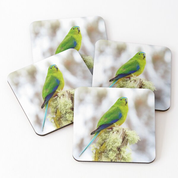 Item preview, OBP on mossy pole coasters designed and sold by Friends of OBP.