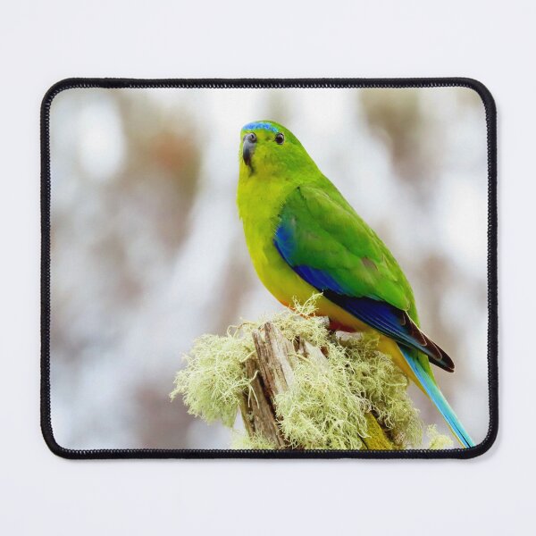 Item preview, OBP on mossy pole mouse pad designed and sold by Friends of OBP.