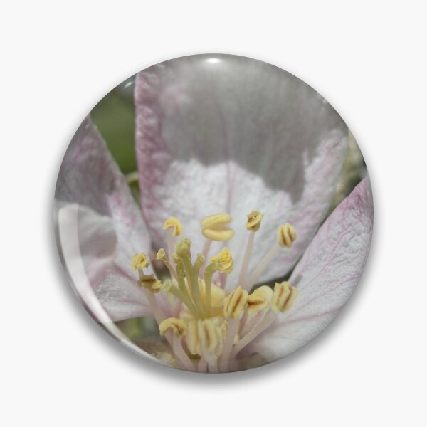Item preview, The Heart of an Apple  designed and sold by Betsy Phillips.