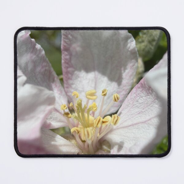 Item preview, The Heart of an Apple designed and sold by Betsy Phillips.