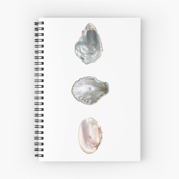Item preview, oyster shells sticker pack designed and sold by inainart.
