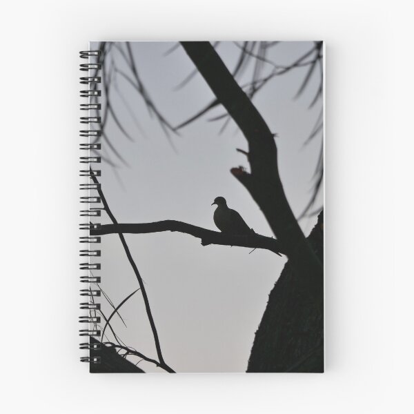 Item preview, ⁠A Quiet Solitude - Mourning Dove Silhouette⁠ designed and sold by sky earth human.