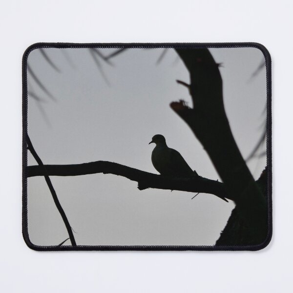 Item preview, ⁠A Quiet Solitude - Mourning Dove Silhouette⁠ designed and sold by sky earth human.
