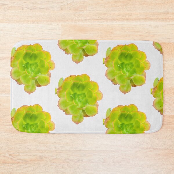 Item preview, Vibrant Green Aeonium Succulent Rosette Isolated on Black designed and sold by BalkanBloom.