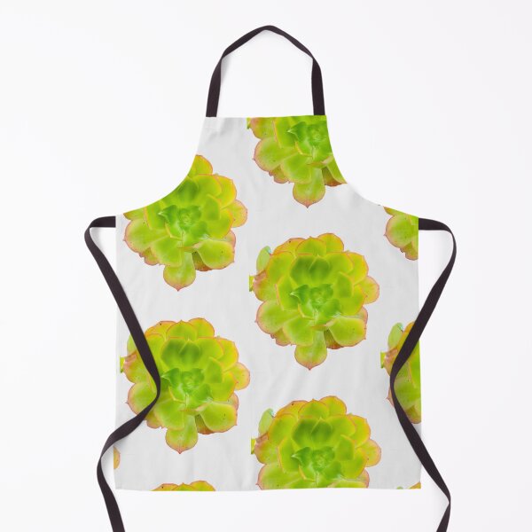 Item preview, Vibrant Green Aeonium Succulent Rosette Isolated on Black designed and sold by BalkanBloom.