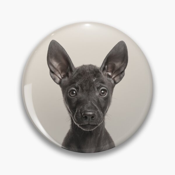 Item preview, Adorable Xoloitzcuintli puppy for Cute Xolo puppy lovers designed and sold by LazyOwlStore.
