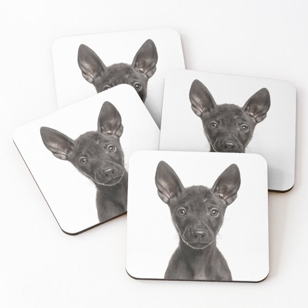 Item preview, Adorable Xoloitzcuintli puppy for Cute Xolo puppy lovers designed and sold by LazyOwlStore.