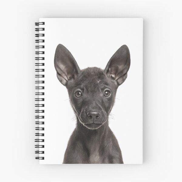 Item preview, Adorable Xoloitzcuintli puppy for Cute Xolo puppy lovers designed and sold by LazyOwlStore.