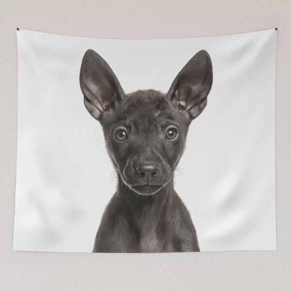 Item preview, Adorable Xoloitzcuintli puppy for Cute Xolo puppy lovers designed and sold by LazyOwlStore.