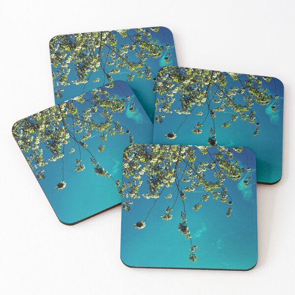 Item preview, plane flying between the leaves of a tree on a spring day in glasgow (scotland) (april 2026) designed and sold by photosbykel.