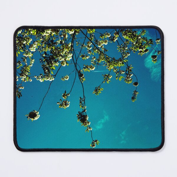 Item preview, plane flying between the leaves of a tree on a spring day in glasgow (scotland) (april 2026) designed and sold by photosbykel.