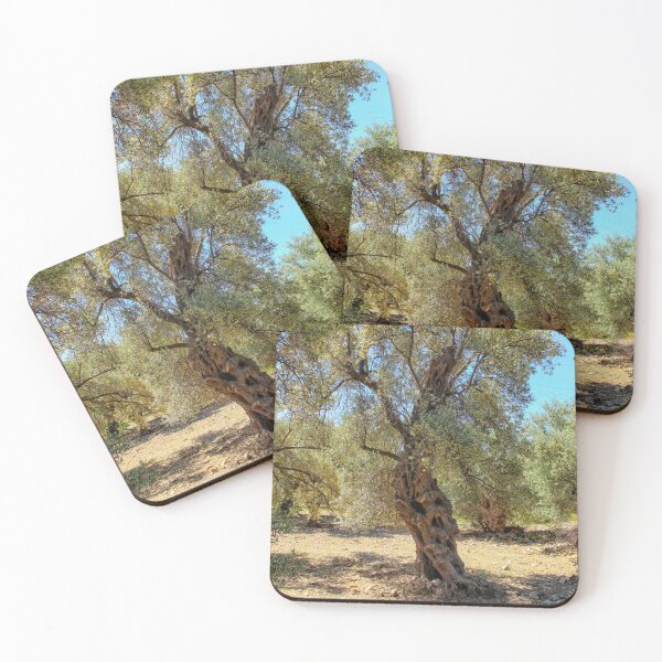 Item preview, Very old olive tree in Greece designed and sold by Photopat.