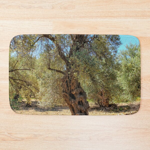 Item preview, Very old olive tree in Greece designed and sold by Photopat.