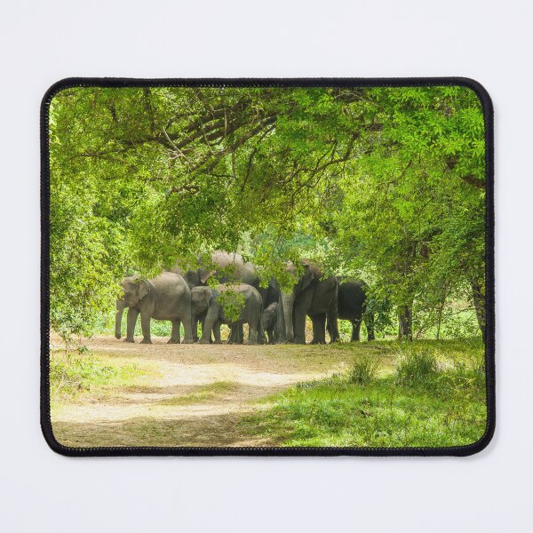 Item preview, Together is safe designed and sold by Photopat.