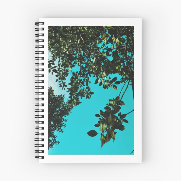 Item preview, looking up at trees on a spring day in glasgow (april 2026) designed and sold by photosbykel.