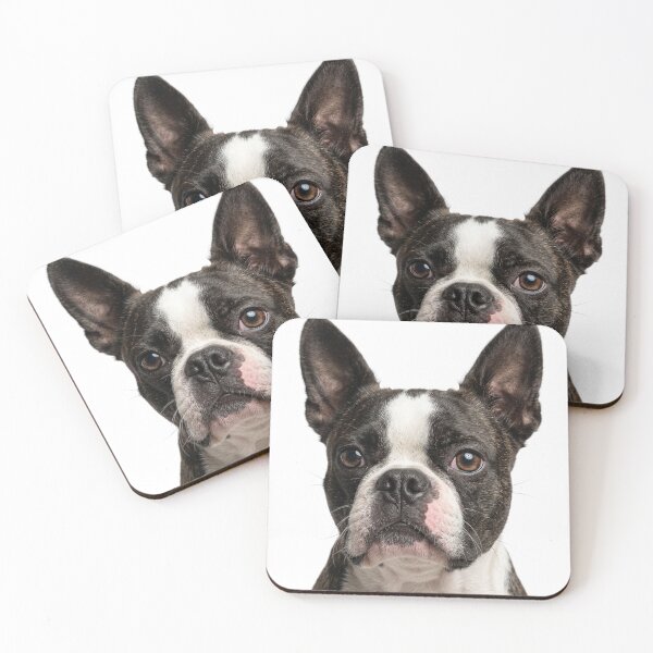 Item preview, Boston Terrier  - Bella designed and sold by BostonThreads.